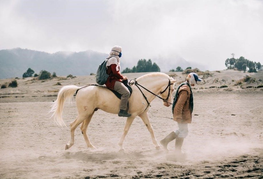 southland safari guided tours